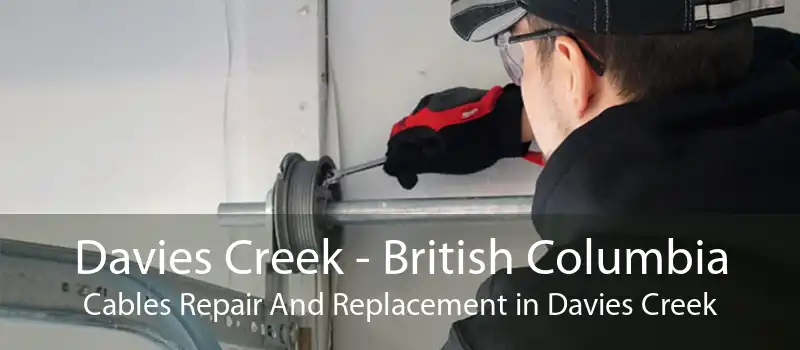Davies Creek - British Columbia Cables Repair And Replacement in Davies Creek