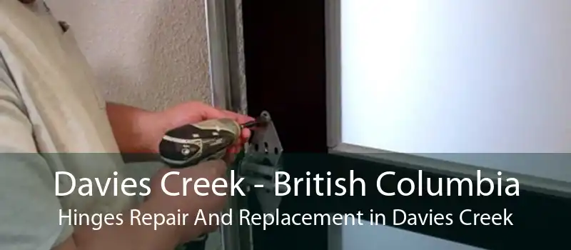 Davies Creek - British Columbia Hinges Repair And Replacement in Davies Creek