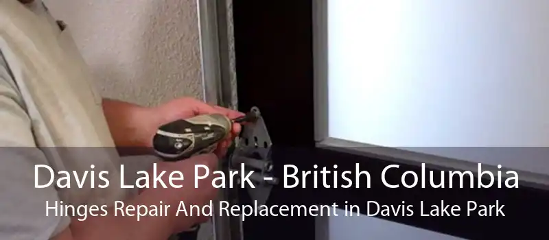Davis Lake Park - British Columbia Hinges Repair And Replacement in Davis Lake Park