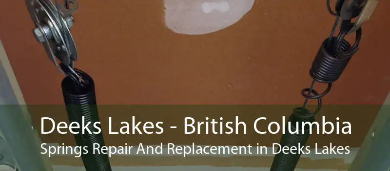 Deeks Lakes - British Columbia Springs Repair And Replacement in Deeks Lakes