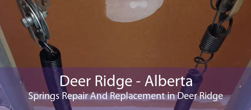 Deer Ridge - Alberta Springs Repair And Replacement in Deer Ridge