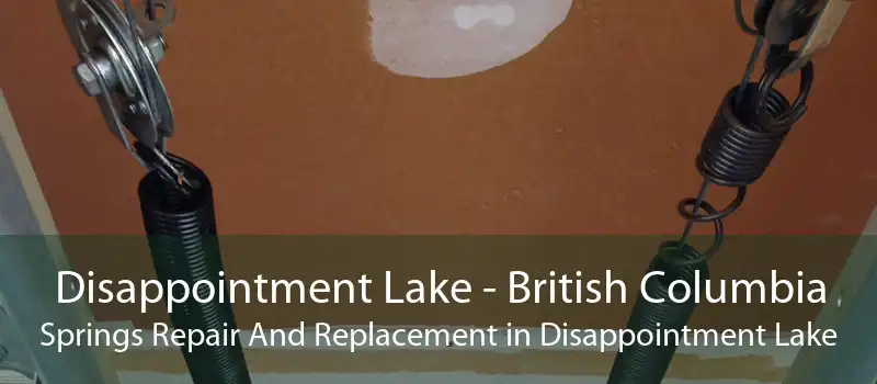 Disappointment Lake - British Columbia Springs Repair And Replacement in Disappointment Lake