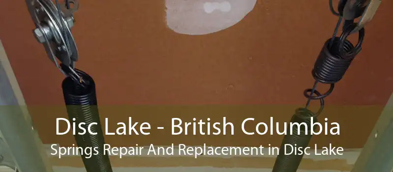 Disc Lake - British Columbia Springs Repair And Replacement in Disc Lake