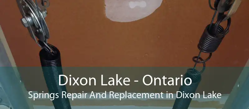 Dixon Lake - Ontario Springs Repair And Replacement in Dixon Lake