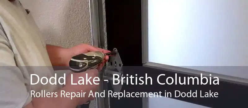 Dodd Lake - British Columbia Rollers Repair And Replacement in Dodd Lake