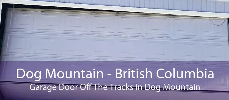 Dog Mountain - British Columbia Garage Door Off The Tracks in Dog Mountain