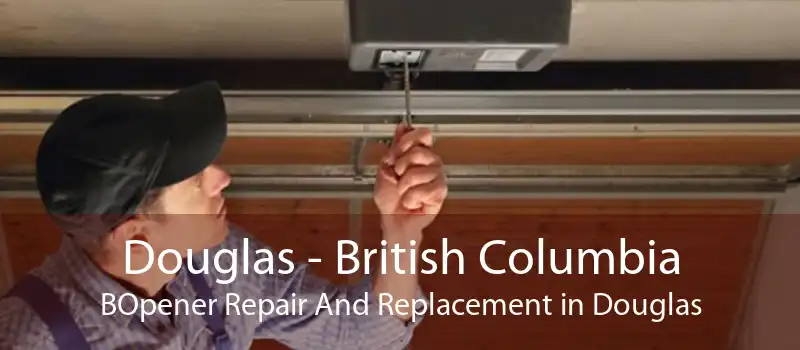 Douglas - British Columbia BOpener Repair And Replacement in Douglas