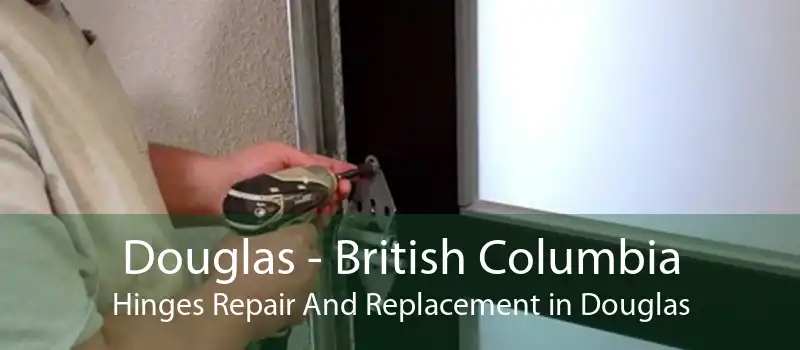 Douglas - British Columbia Hinges Repair And Replacement in Douglas