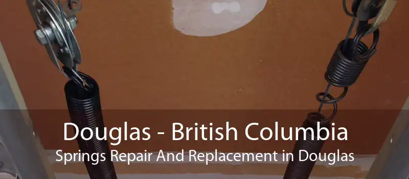 Douglas - British Columbia Springs Repair And Replacement in Douglas