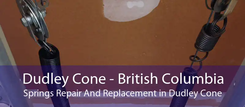 Dudley Cone - British Columbia Springs Repair And Replacement in Dudley Cone