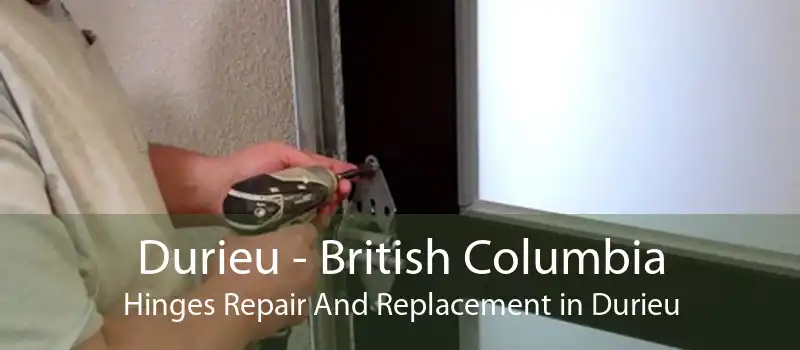 Durieu - British Columbia Hinges Repair And Replacement in Durieu