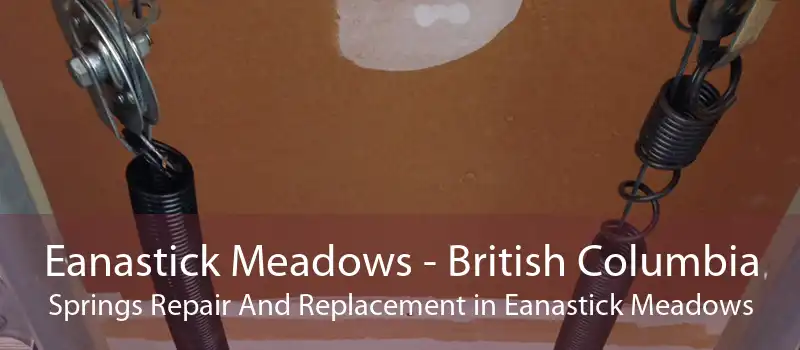 Eanastick Meadows - British Columbia Springs Repair And Replacement in Eanastick Meadows