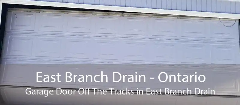 East Branch Drain - Ontario Garage Door Off The Tracks in East Branch Drain