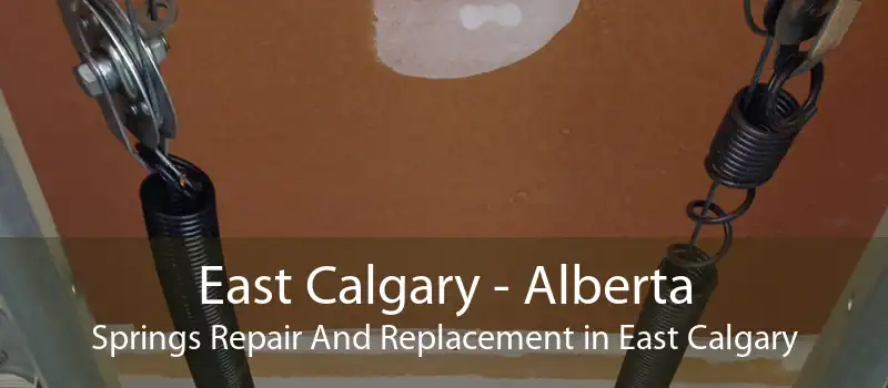 East Calgary - Alberta Springs Repair And Replacement in East Calgary