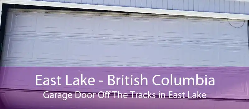 East Lake - British Columbia Garage Door Off The Tracks in East Lake