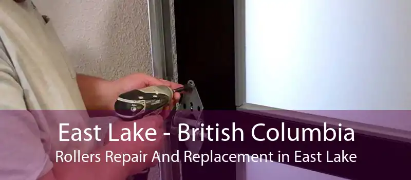 East Lake - British Columbia Rollers Repair And Replacement in East Lake