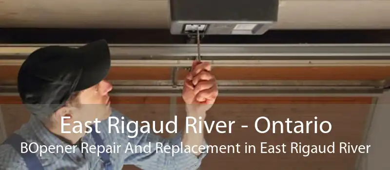 East Rigaud River - Ontario BOpener Repair And Replacement in East Rigaud River