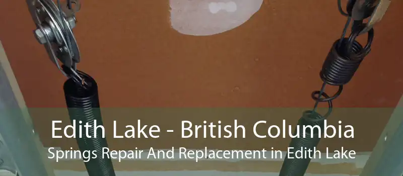Edith Lake - British Columbia Springs Repair And Replacement in Edith Lake