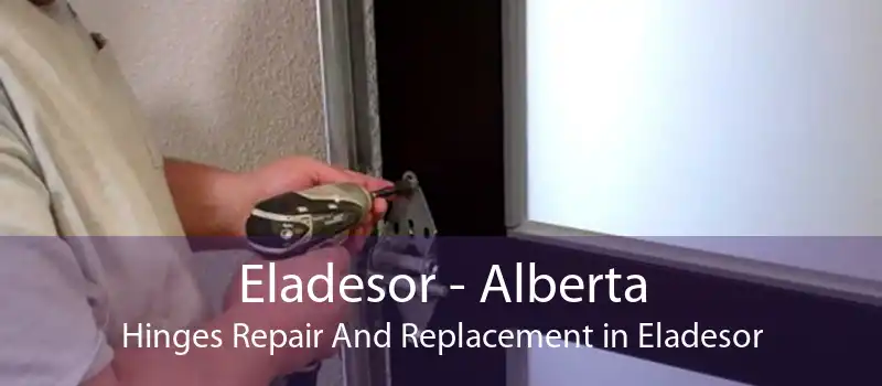 Eladesor - Alberta Hinges Repair And Replacement in Eladesor