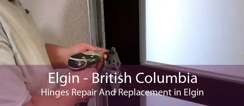 Elgin - British Columbia Hinges Repair And Replacement in Elgin