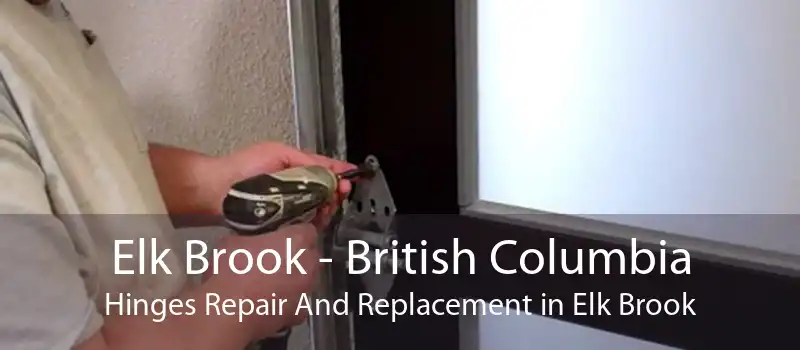 Elk Brook - British Columbia Hinges Repair And Replacement in Elk Brook