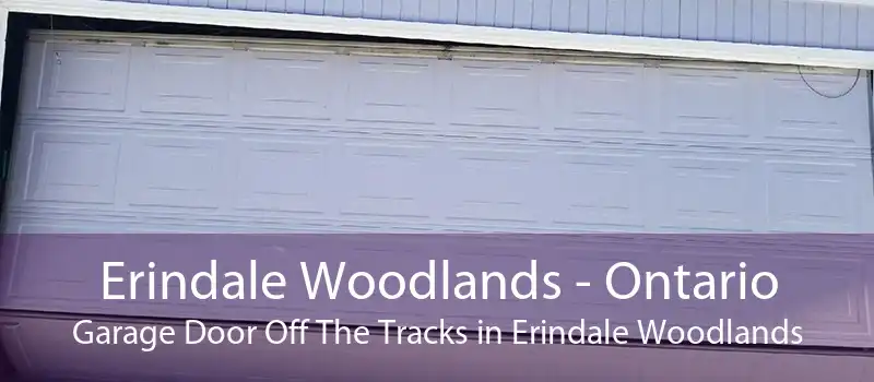 Erindale Woodlands - Ontario Garage Door Off The Tracks in Erindale Woodlands