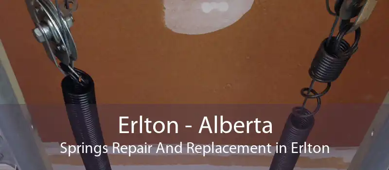 Erlton - Alberta Springs Repair And Replacement in Erlton