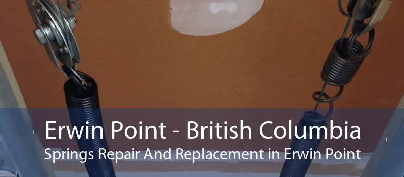 Erwin Point - British Columbia Springs Repair And Replacement in Erwin Point