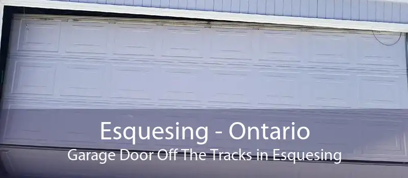 Esquesing - Ontario Garage Door Off The Tracks in Esquesing