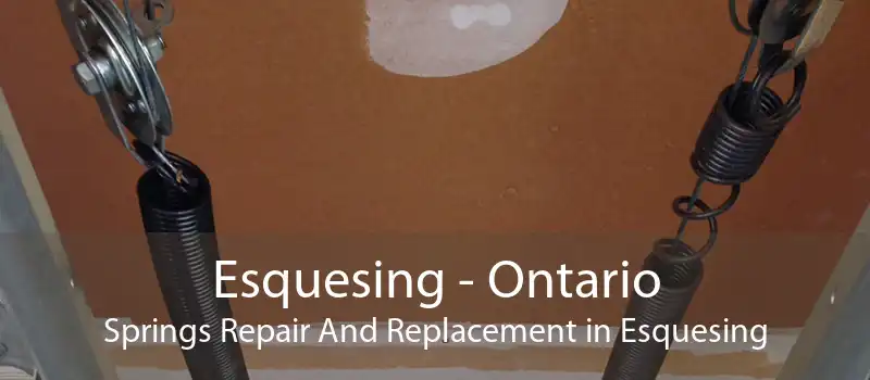 Esquesing - Ontario Springs Repair And Replacement in Esquesing