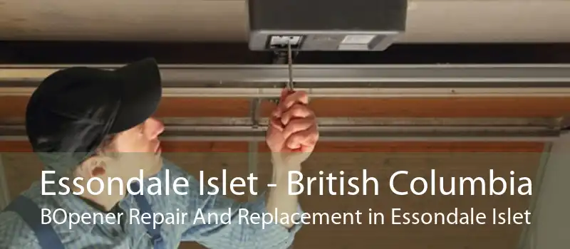 Essondale Islet - British Columbia BOpener Repair And Replacement in Essondale Islet