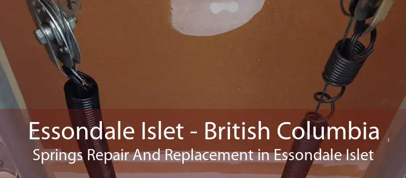 Essondale Islet - British Columbia Springs Repair And Replacement in Essondale Islet