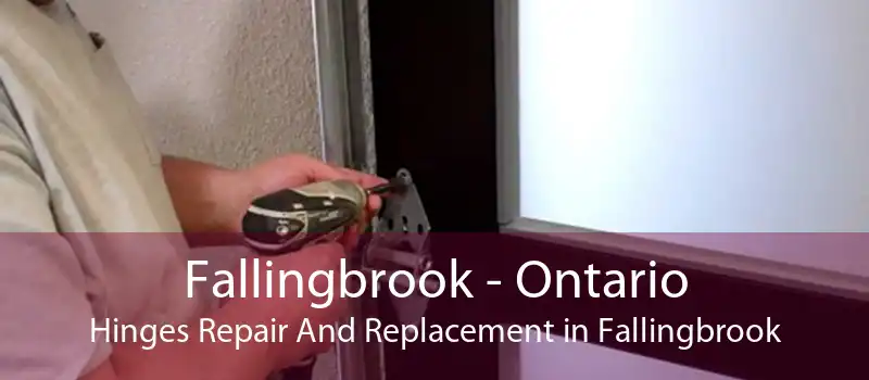Fallingbrook - Ontario Hinges Repair And Replacement in Fallingbrook