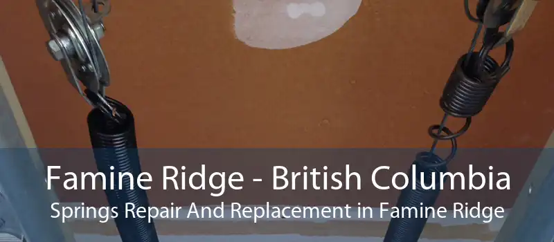 Famine Ridge - British Columbia Springs Repair And Replacement in Famine Ridge