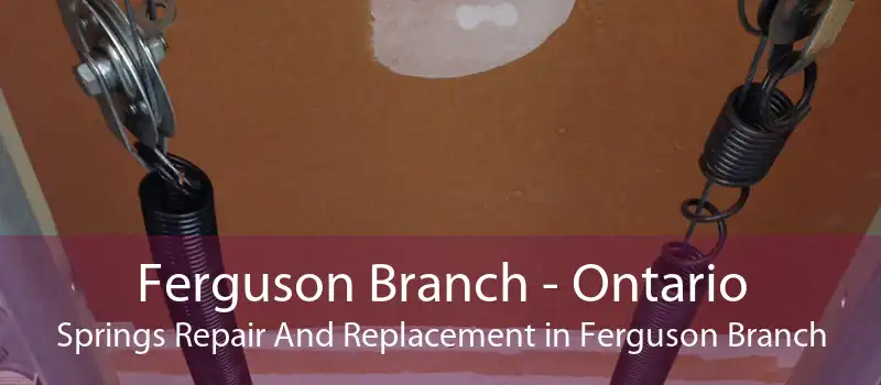Ferguson Branch - Ontario Springs Repair And Replacement in Ferguson Branch