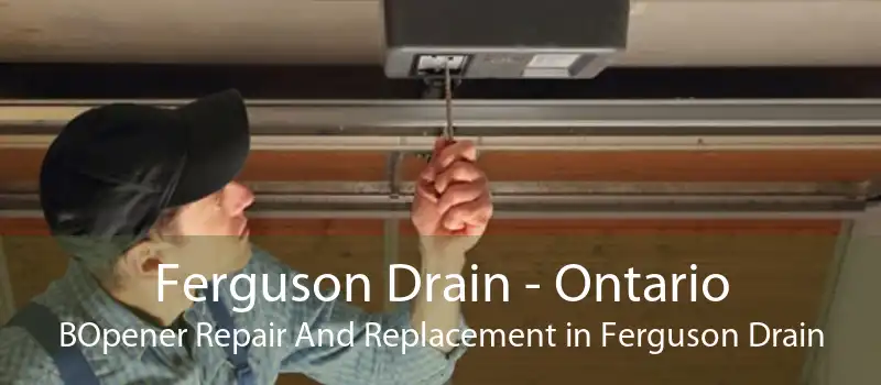 Ferguson Drain - Ontario BOpener Repair And Replacement in Ferguson Drain
