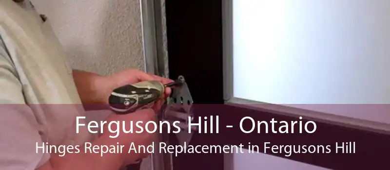 Fergusons Hill - Ontario Hinges Repair And Replacement in Fergusons Hill