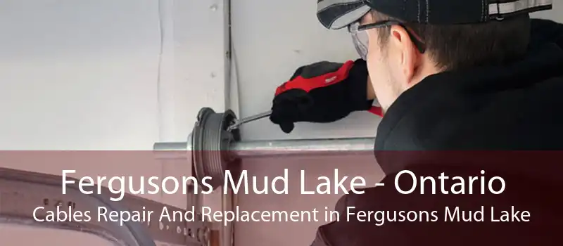 Fergusons Mud Lake - Ontario Cables Repair And Replacement in Fergusons Mud Lake