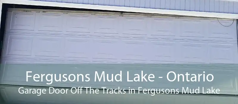 Fergusons Mud Lake - Ontario Garage Door Off The Tracks in Fergusons Mud Lake
