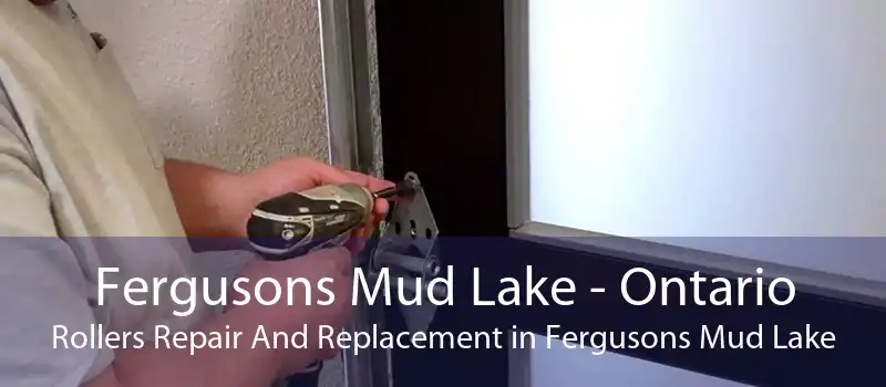 Fergusons Mud Lake - Ontario Rollers Repair And Replacement in Fergusons Mud Lake