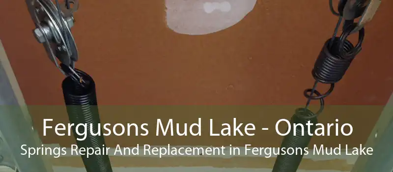 Fergusons Mud Lake - Ontario Springs Repair And Replacement in Fergusons Mud Lake