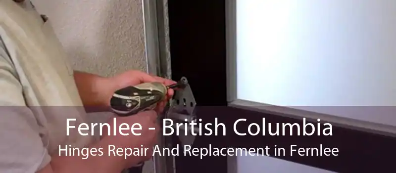 Fernlee - British Columbia Hinges Repair And Replacement in Fernlee