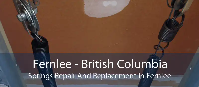 Fernlee - British Columbia Springs Repair And Replacement in Fernlee