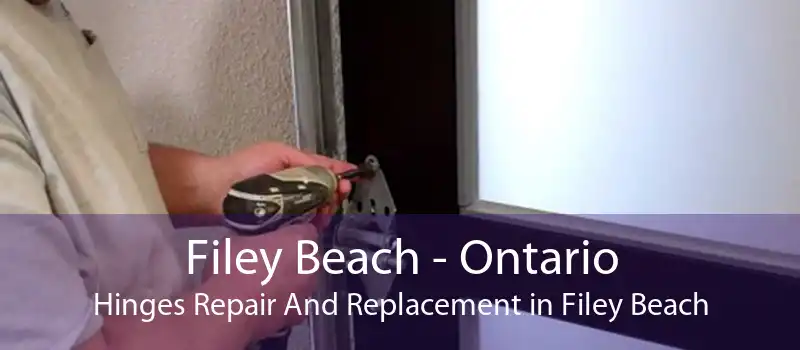 Filey Beach - Ontario Hinges Repair And Replacement in Filey Beach