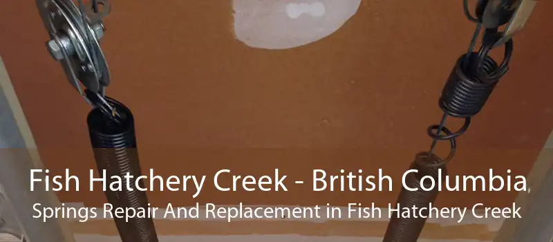 Fish Hatchery Creek - British Columbia Springs Repair And Replacement in Fish Hatchery Creek