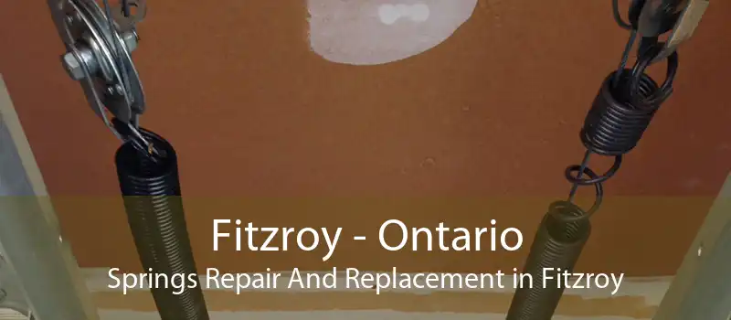 Fitzroy - Ontario Springs Repair And Replacement in Fitzroy