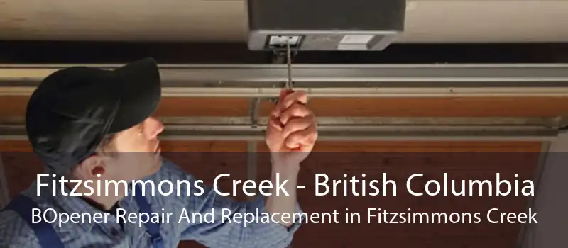 Fitzsimmons Creek - British Columbia BOpener Repair And Replacement in Fitzsimmons Creek