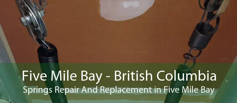 Five Mile Bay - British Columbia Springs Repair And Replacement in Five Mile Bay