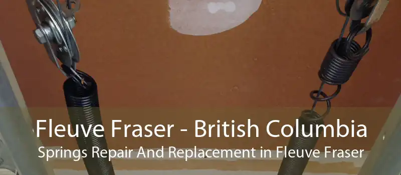 Fleuve Fraser - British Columbia Springs Repair And Replacement in Fleuve Fraser