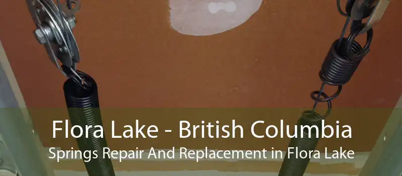 Flora Lake - British Columbia Springs Repair And Replacement in Flora Lake